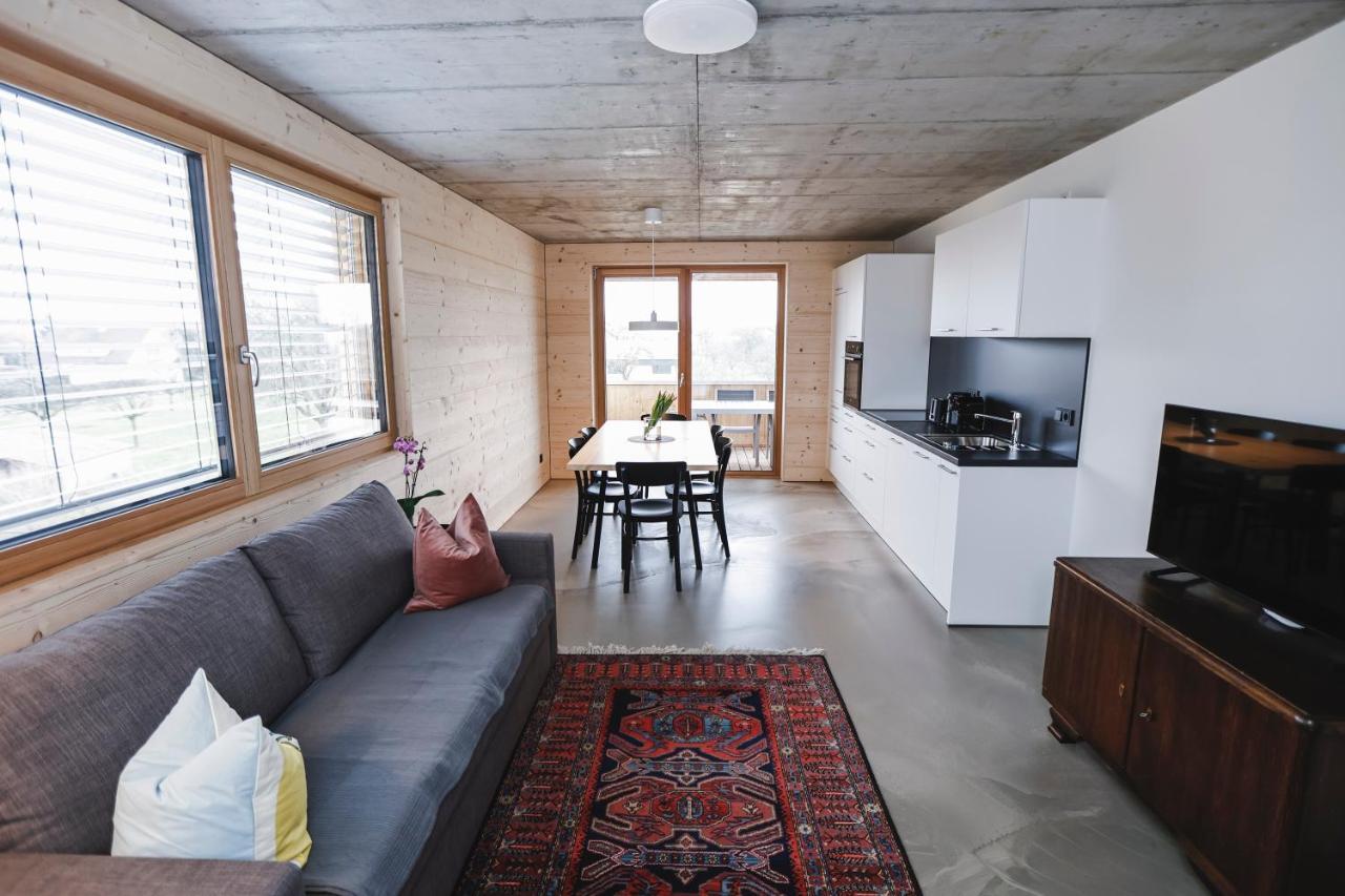 Boutique Apartments Lustenau Nachhaltige Kuehlung Ueber Erdsonde Und Fussbodenkuehlung Exterior foto